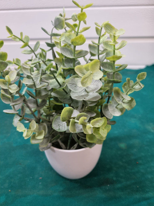 kunst plantje eucalyptus in pot