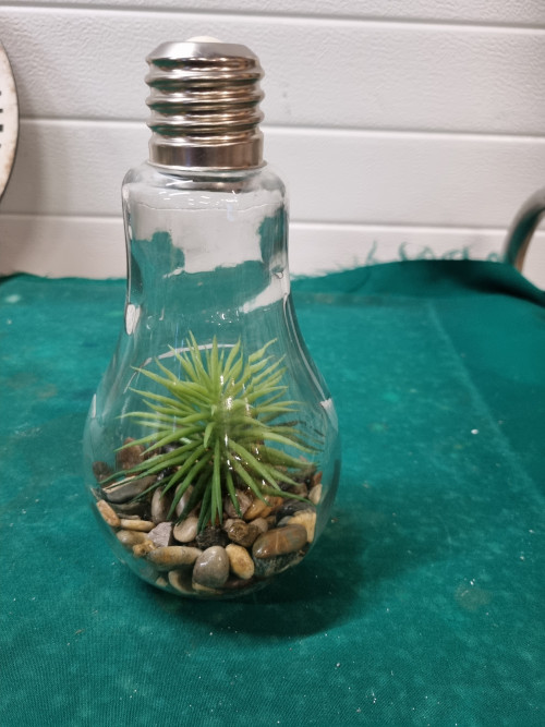 decoratie peer lamp met stenen en plant