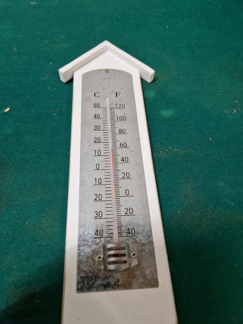 thermometer wit